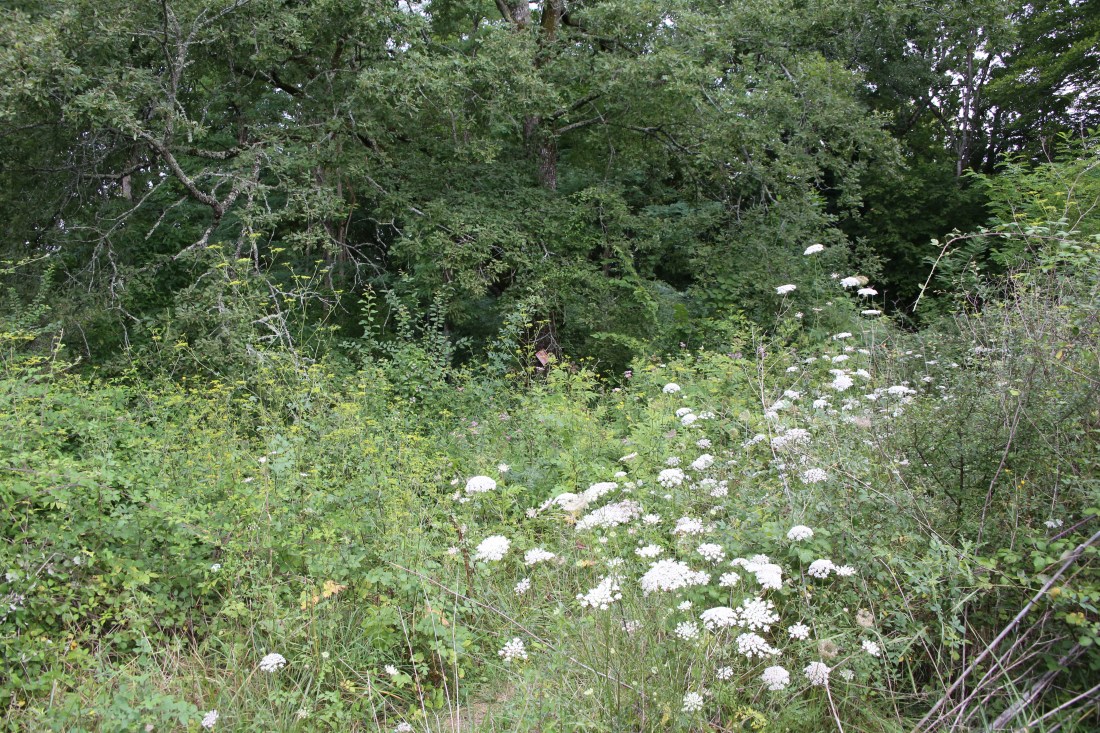 First glimpse of the Propertie Privee sign July 2017