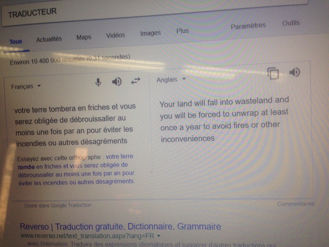 Google translate conversation July 2017 #2