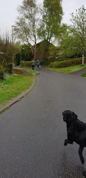 Luka looking at the things dissapearing