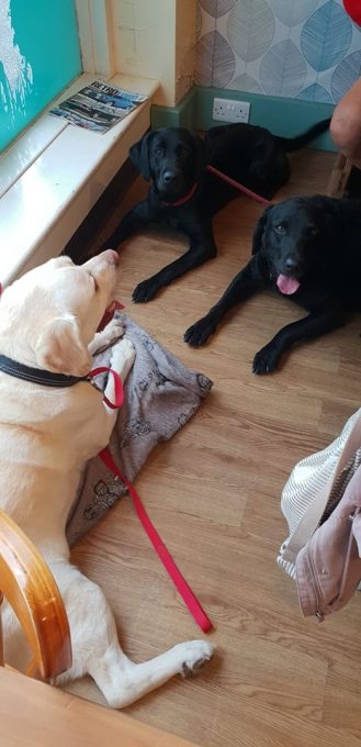 Shiloh Luka and Lillie