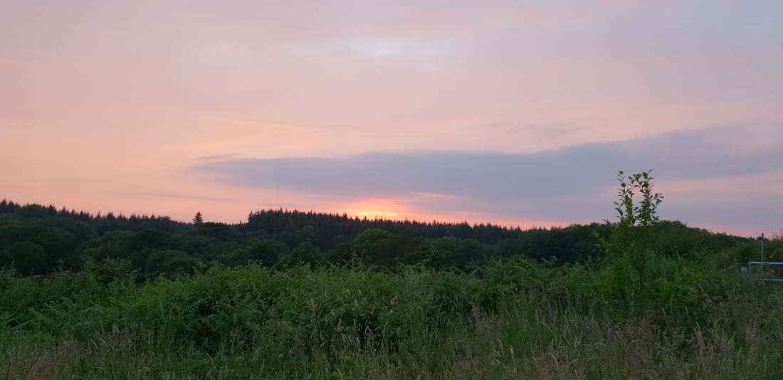 Sunset over Ampfield Woods