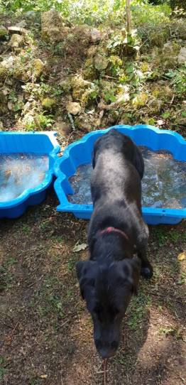 Lillie paddling pool