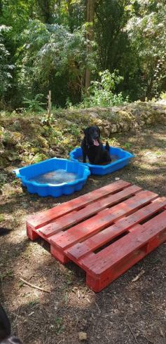 Luka paddling pool