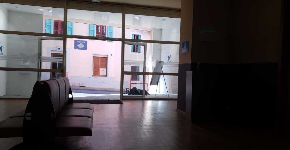 Doggos sitting nicely in porch