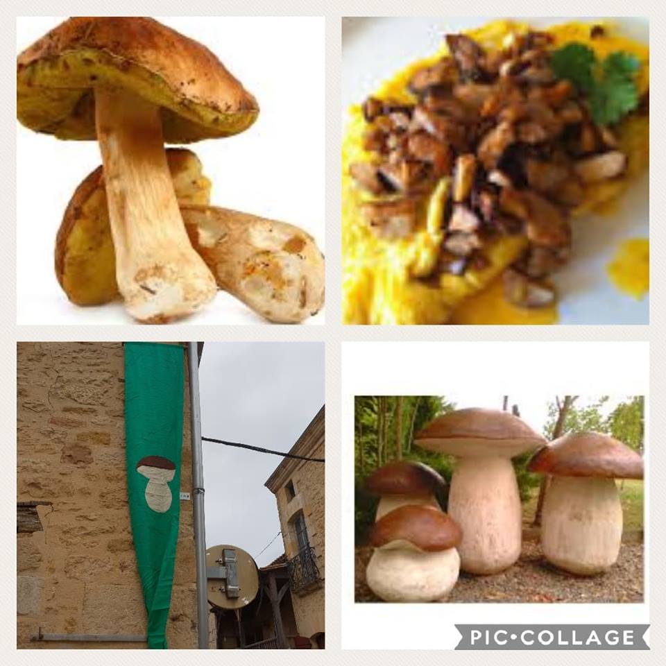 Collage of Cepes
