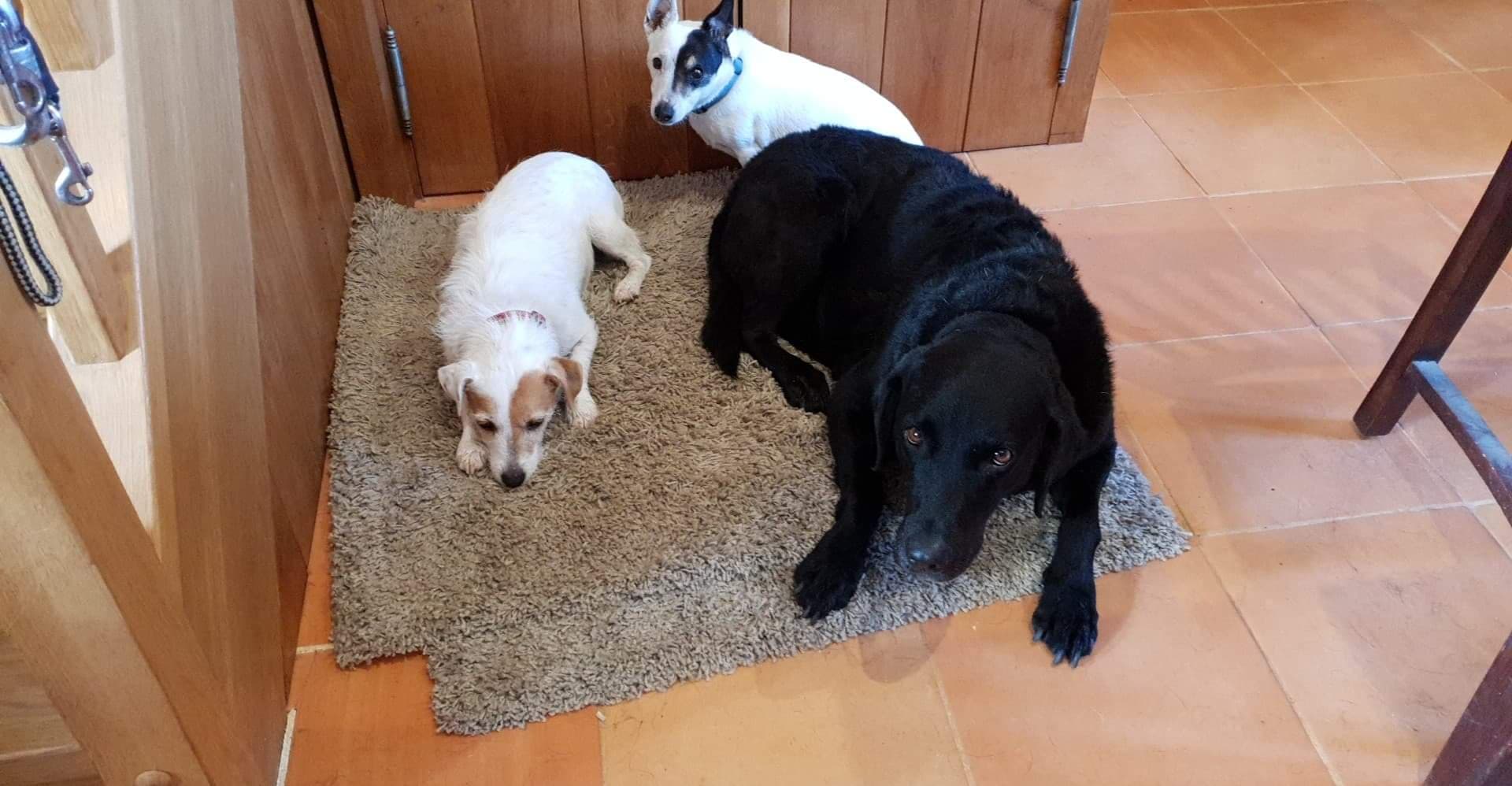 Luka in a menage a trois