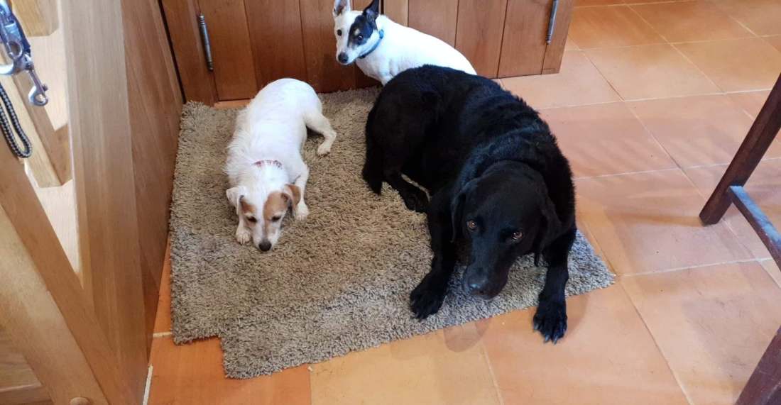 Luka in a menage a trois