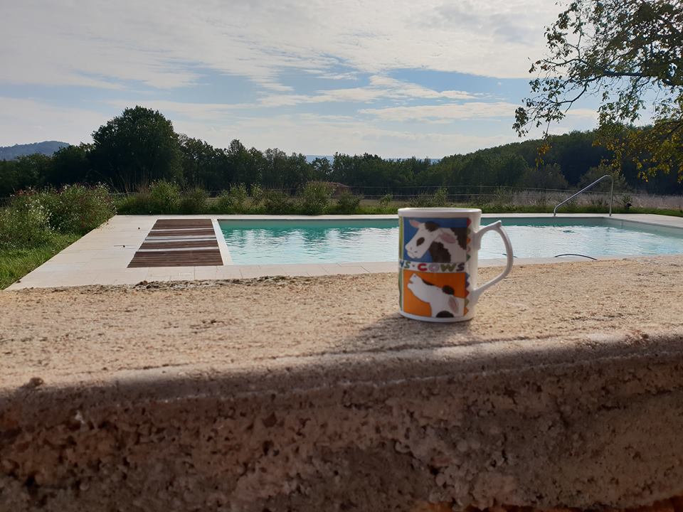 Nice cuppa in the pool