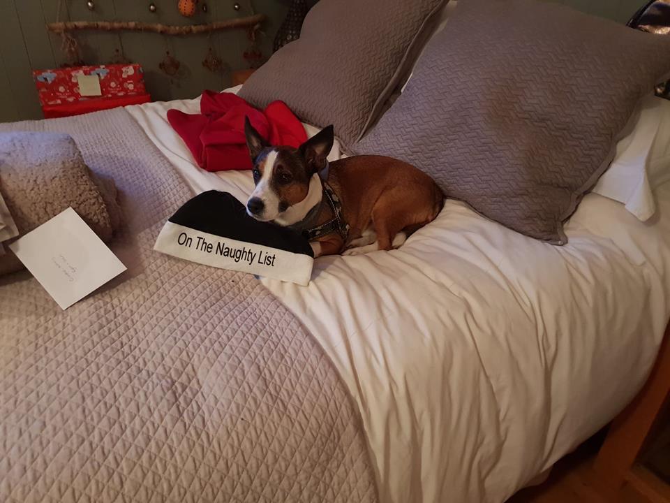 On the naughty list.jpg