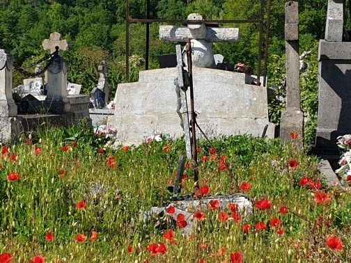 Poppies in the grave yard 2