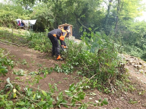 Dead Hedge coming down