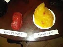 A pound of fat