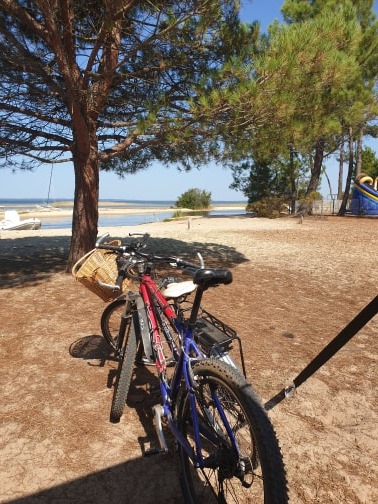 Bikes at Biscarrosse