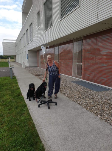 Doggos in the car park