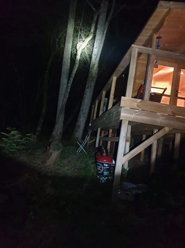 Zoe thinks she is a lynx