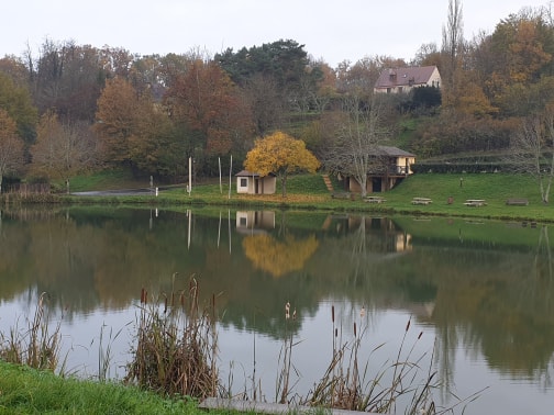 Houses peeping through the trees