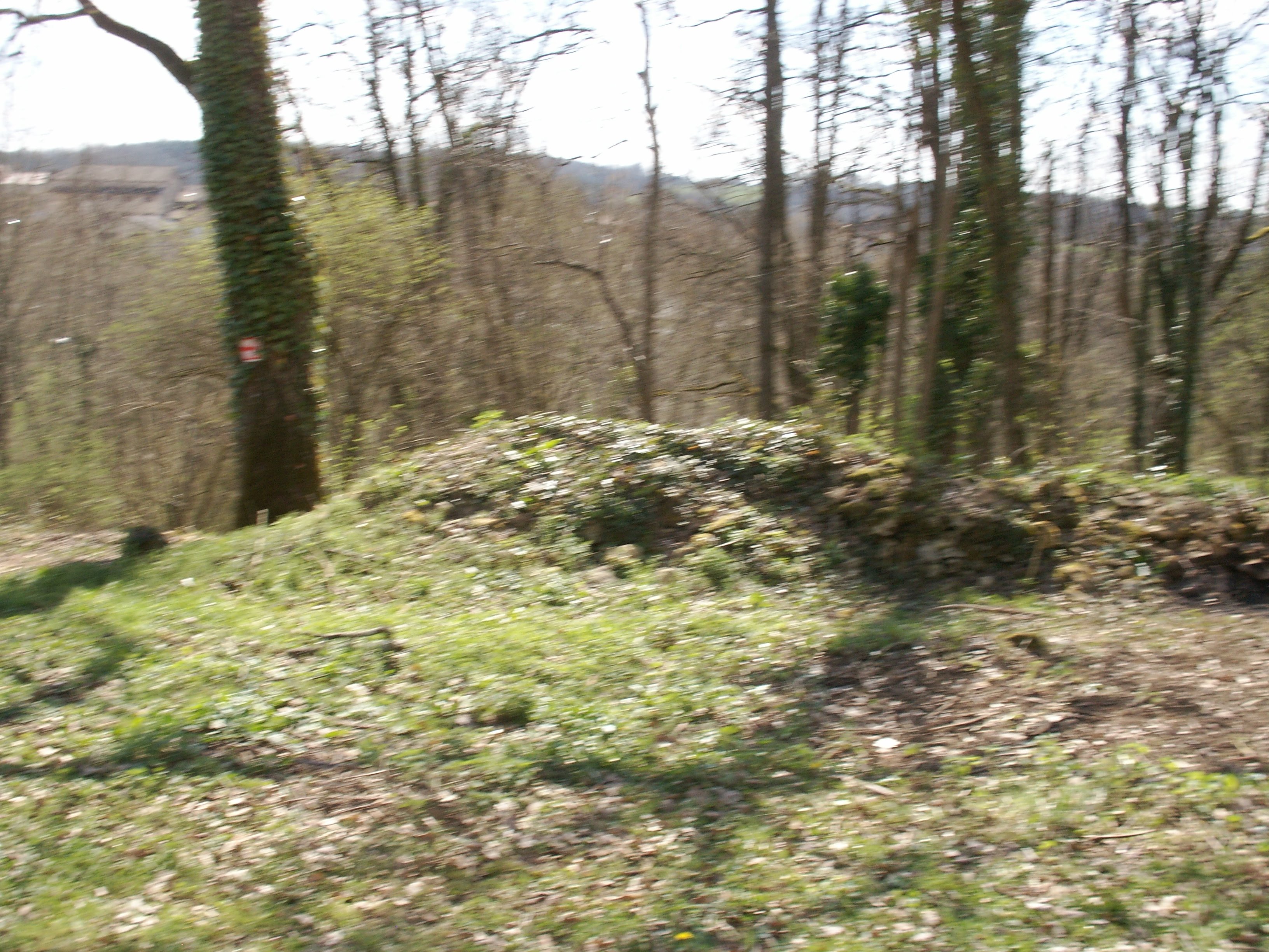 KONICA MINOLTA DIGITAL CAMERA