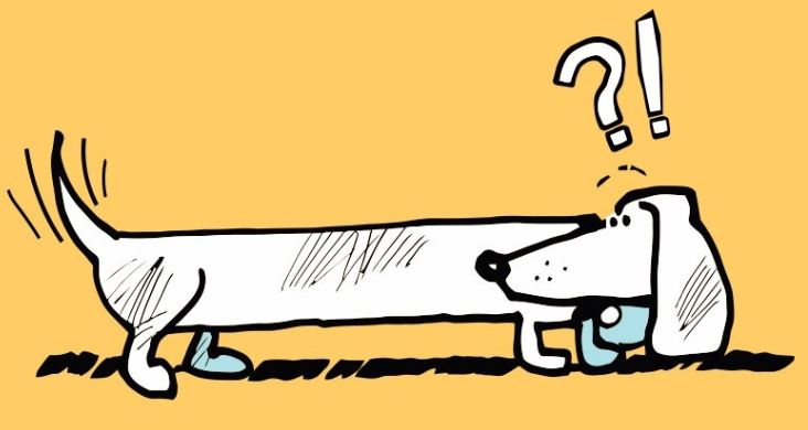 Tail wagging the dog