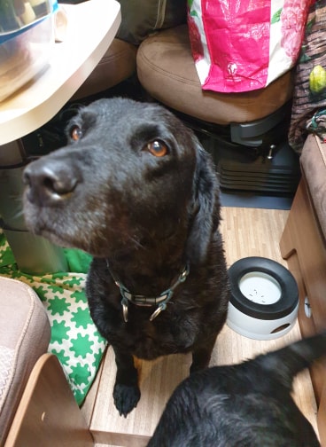 Why can't we come out to play